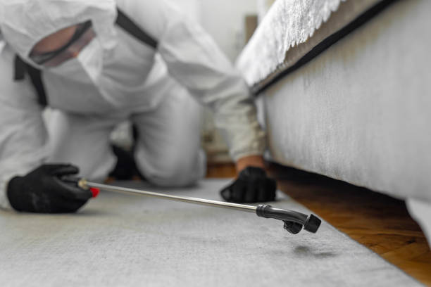Professional Cockroach Control technician working in Clara City, MN